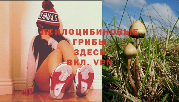 MDMA Premium VHQ Белокуриха