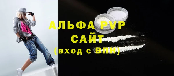 стаф Сатка