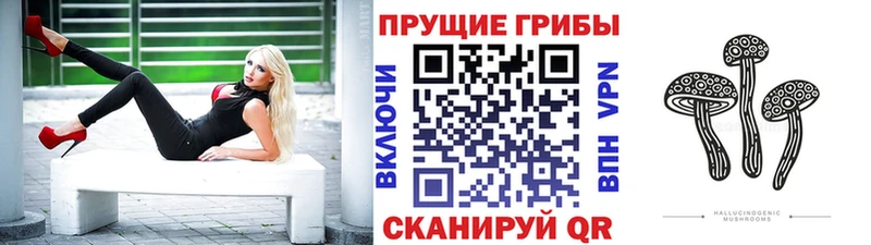 где купить наркотик  Красный Холм  KRAKEN   Галлюциногенные грибы GOLDEN TEACHER 